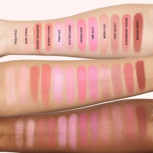 BLUSH FILTER BLURRING BLUSHLIGHTERS PALETTE