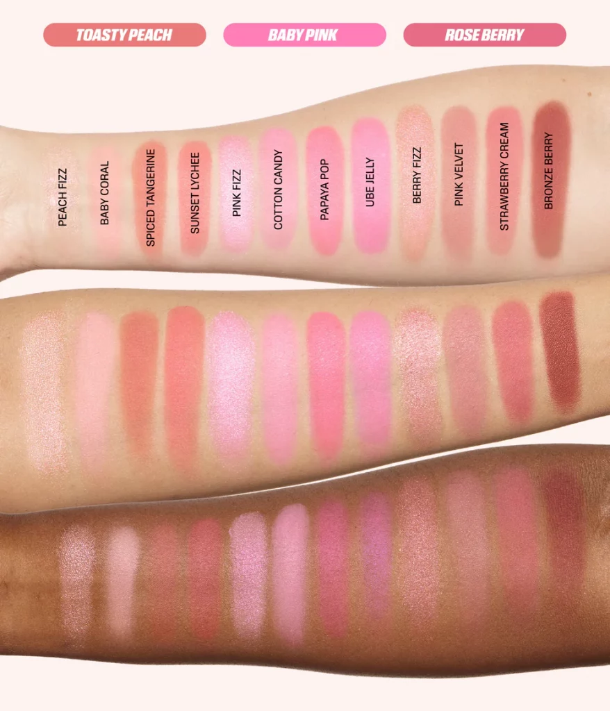 BLUSH FILTER BLURRING BLUSHLIGHTERS PALETTE